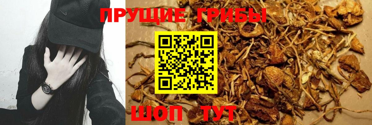 LSD-25  ГАШ  Реж  Вход с VPN  ЭКСТАЗИ  Каннабис  Меф кристаллы  Alpha-PVP СК  